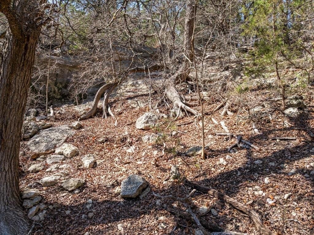98.85 acres in Hamilton County - photo 29