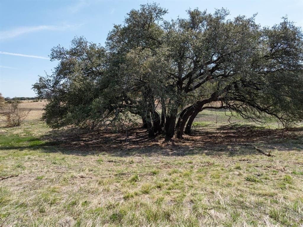 98.85 acres in Hamilton County - photo 11