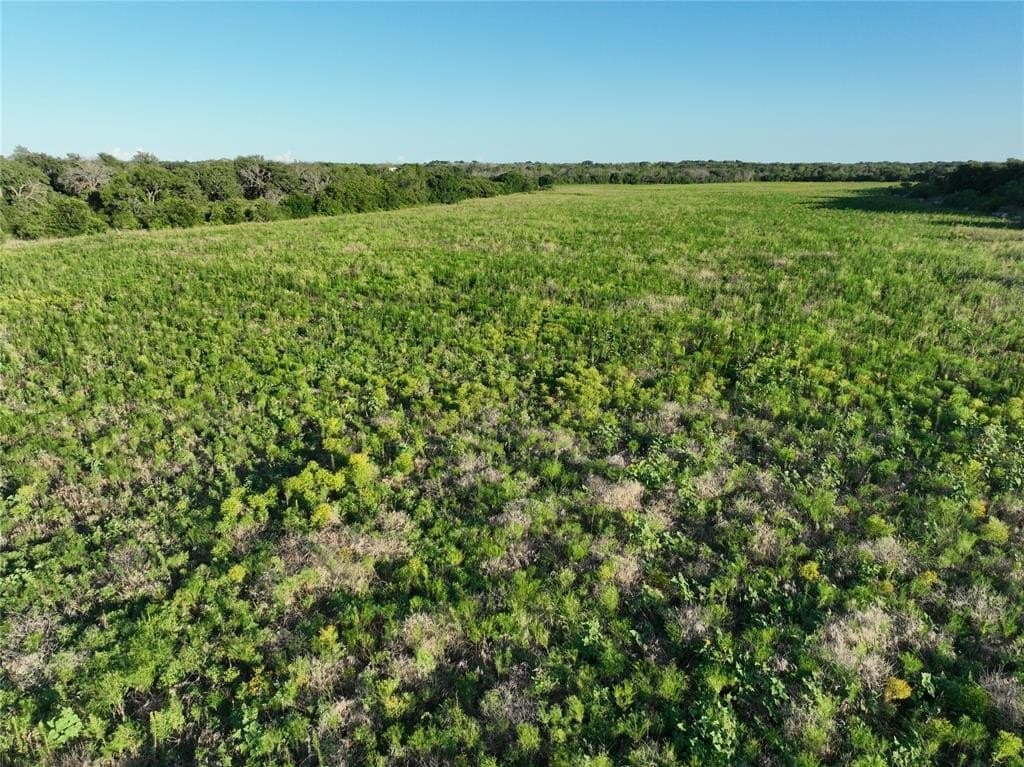 80.74 acres in Hamilton County - photo 5