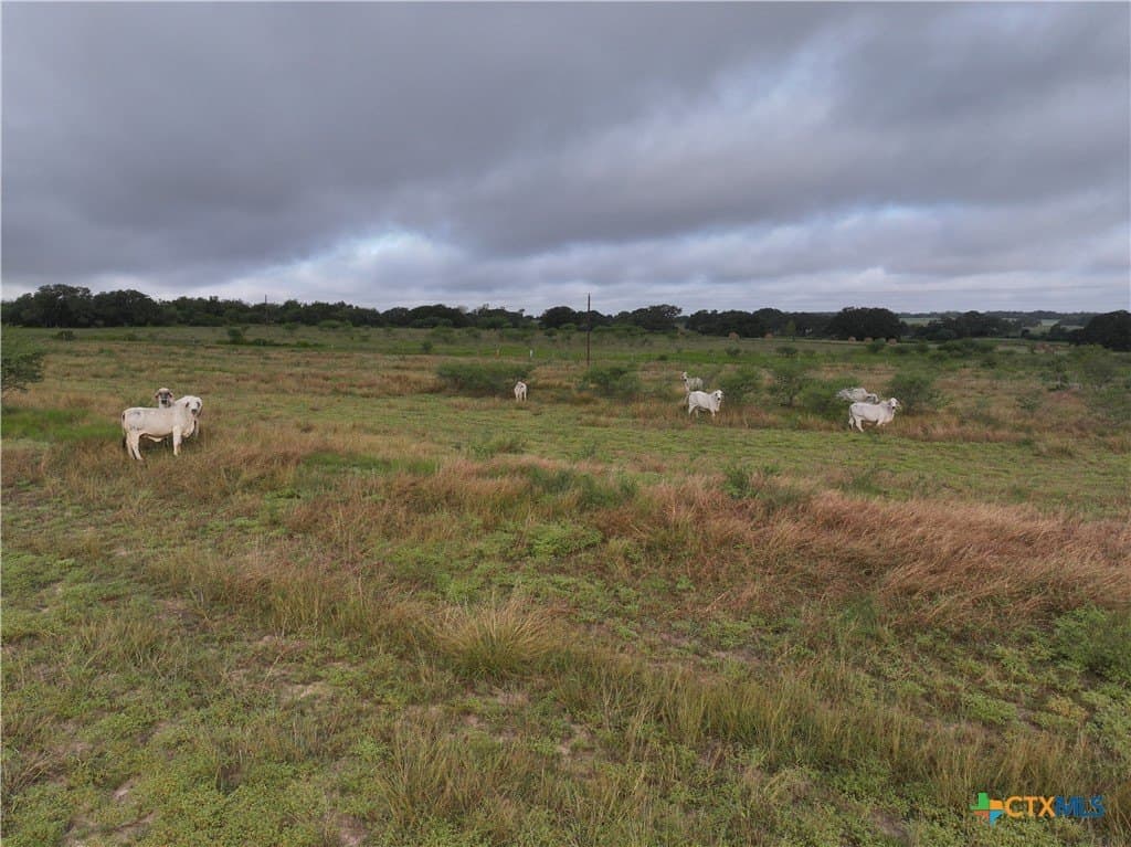 10 acres in DeWitt County - photo 13