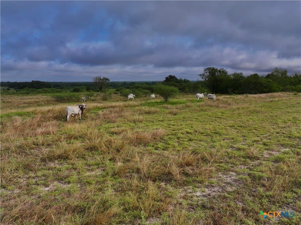 10 acres in DeWitt County - photo 12