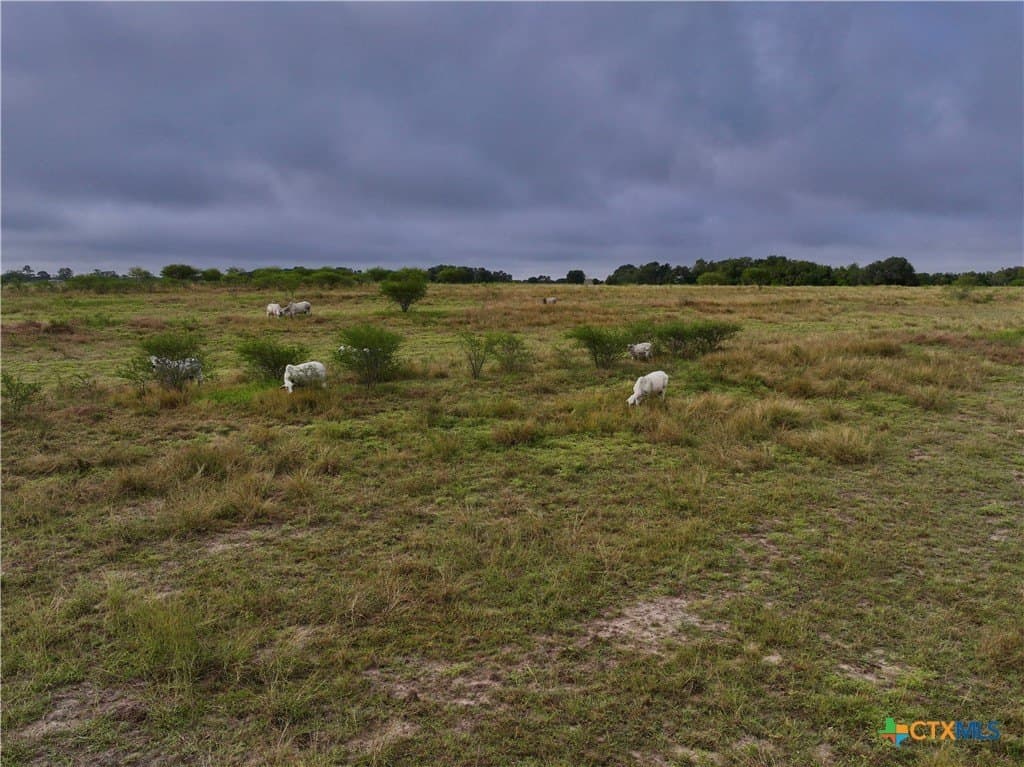 10 acres in DeWitt County - photo 11