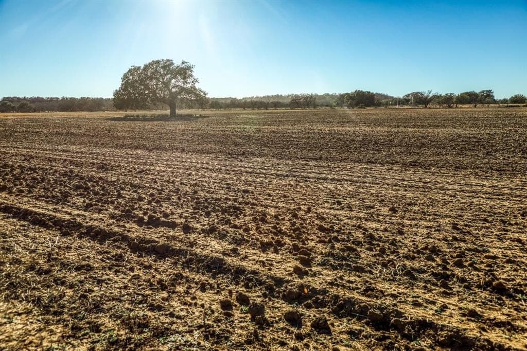 392 acres in Coleman County - photo 32