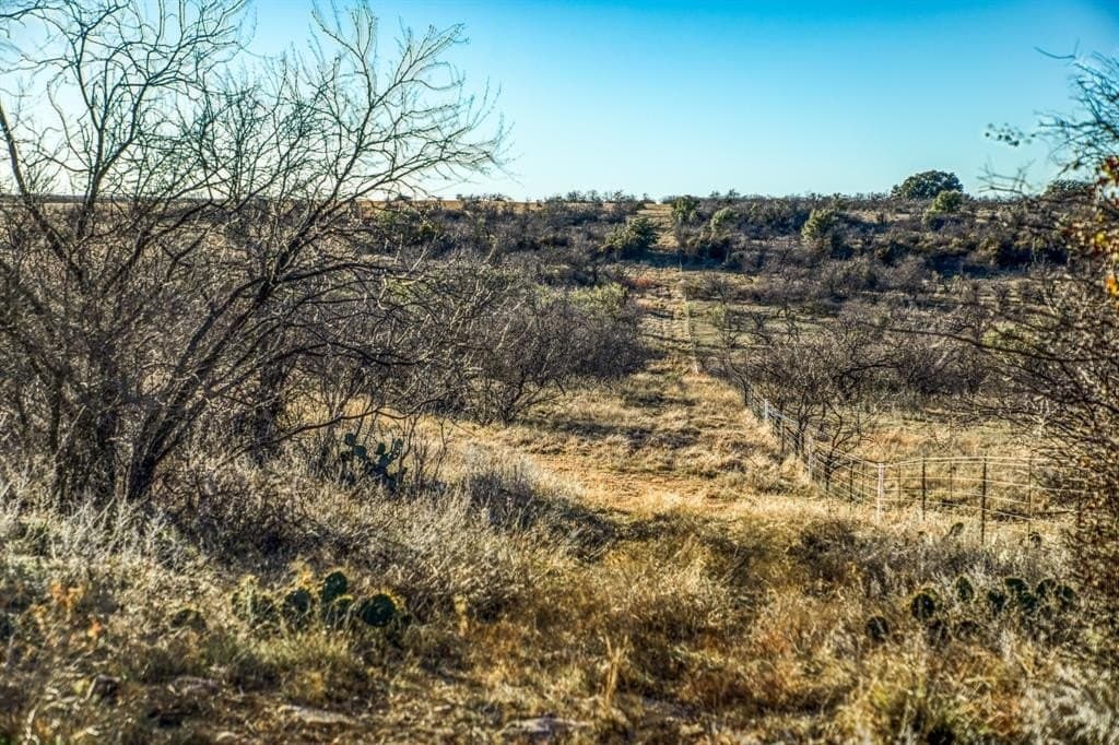392 acres in Coleman County - photo 36
