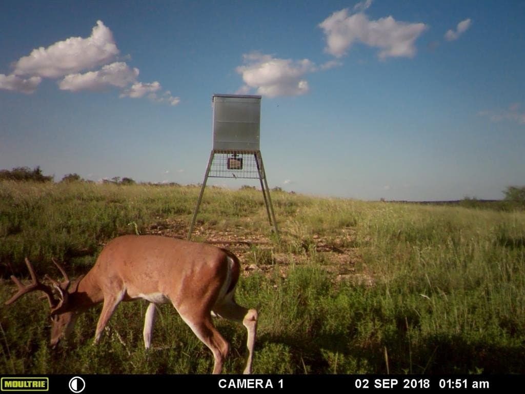 392 acres in Coleman County - photo 33