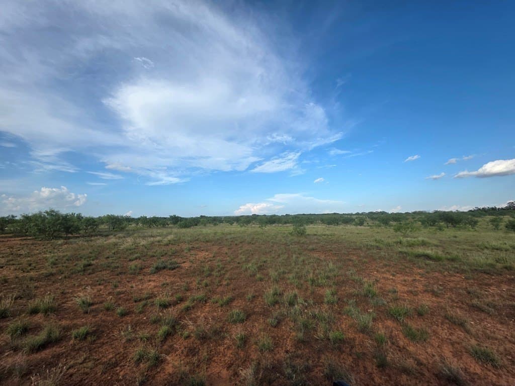 109 acres in Nolan County - photo 37