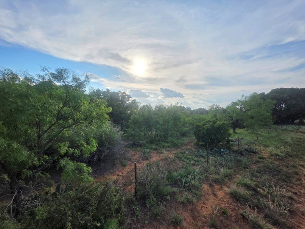 109 acres in Nolan County - photo 30