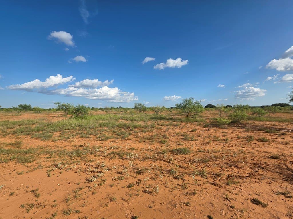 109 acres in Nolan County - photo 47