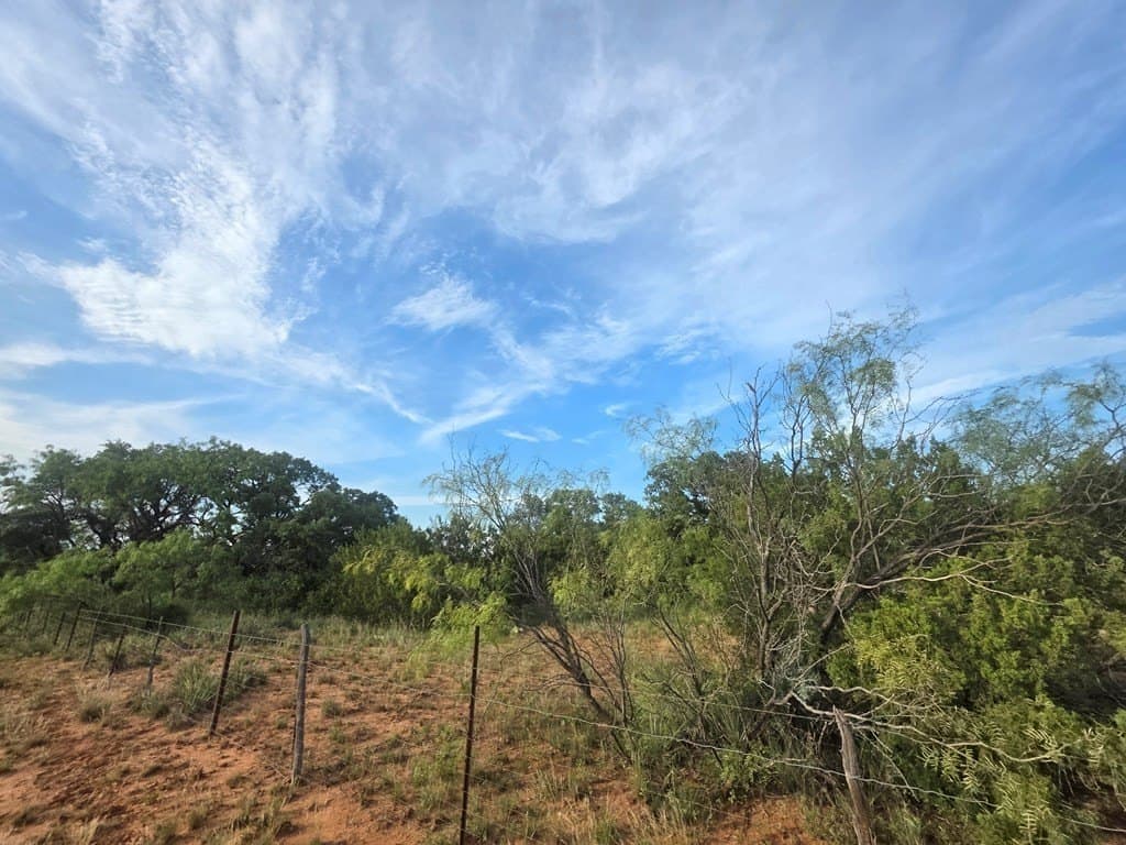 109 acres in Nolan County - photo 19