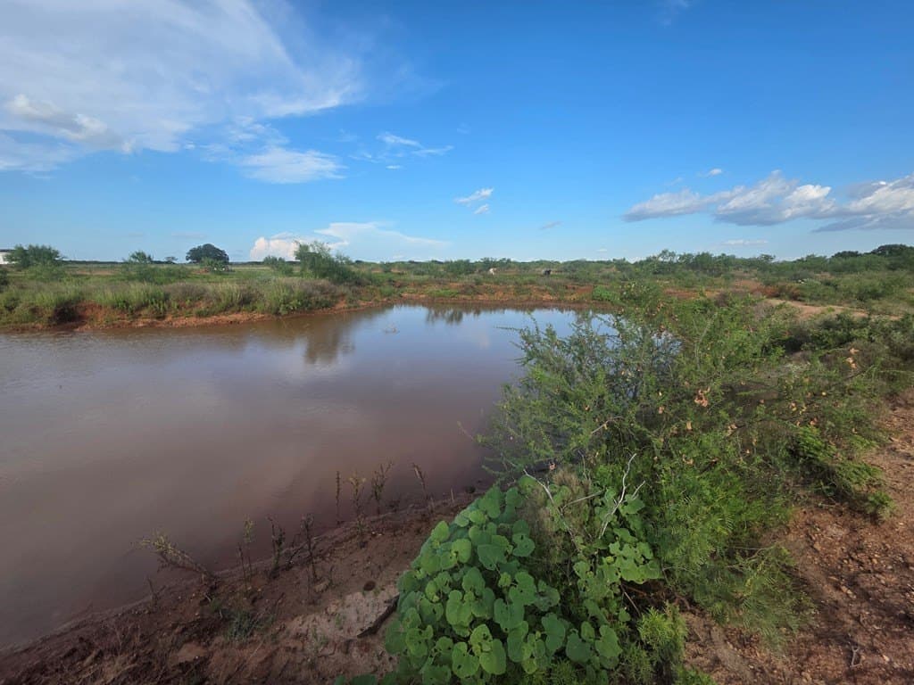 109 acres in Nolan County - photo 42