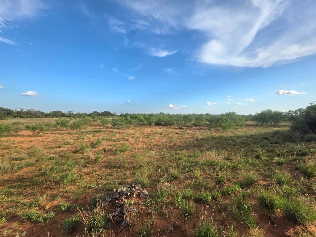 109 acres in Nolan County - photo 22
