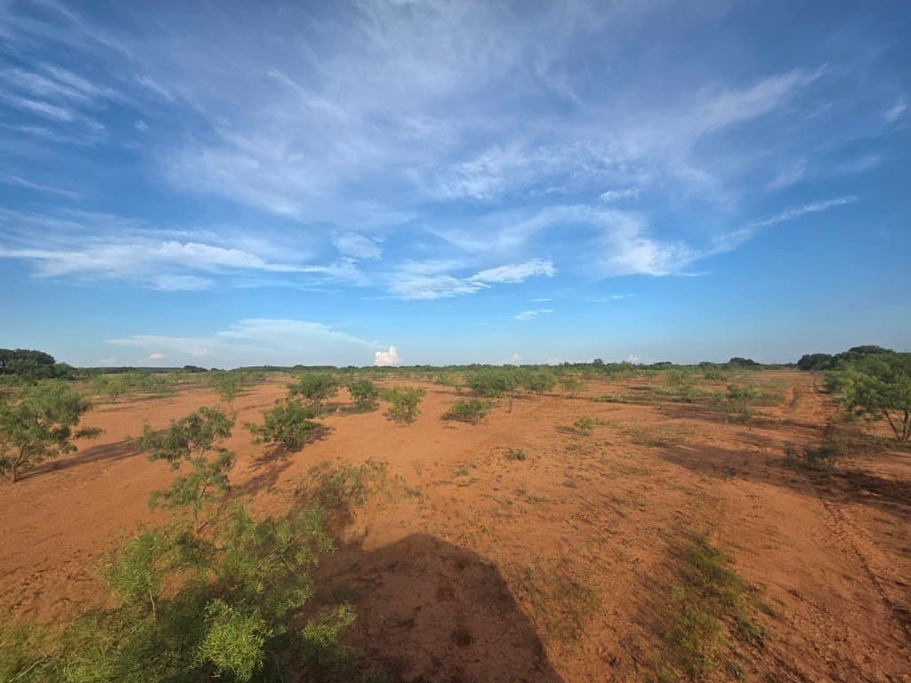 109 acres in Nolan County - photo 9