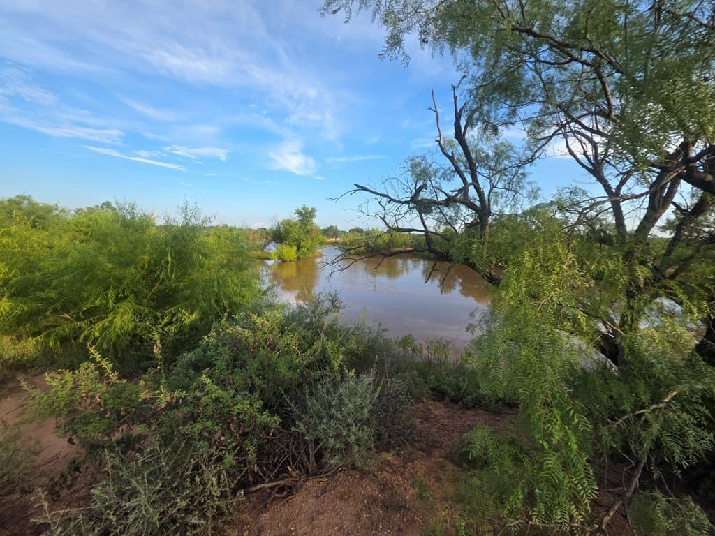 109 acres in Nolan County - photo 4