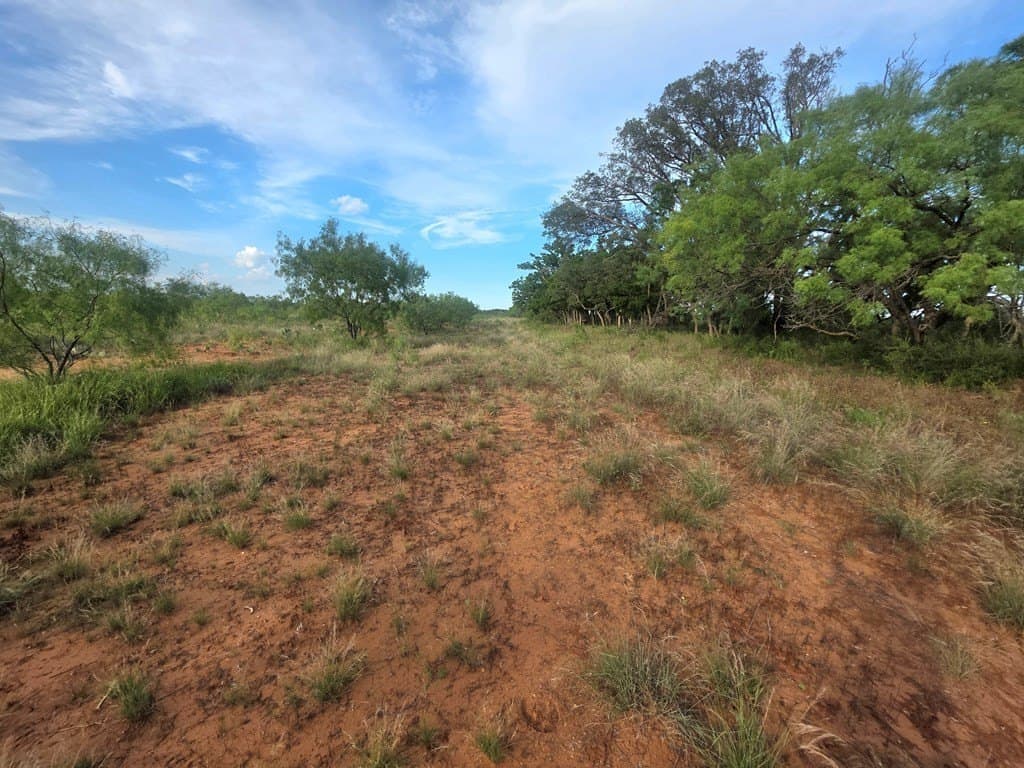 109 acres in Nolan County - photo 29