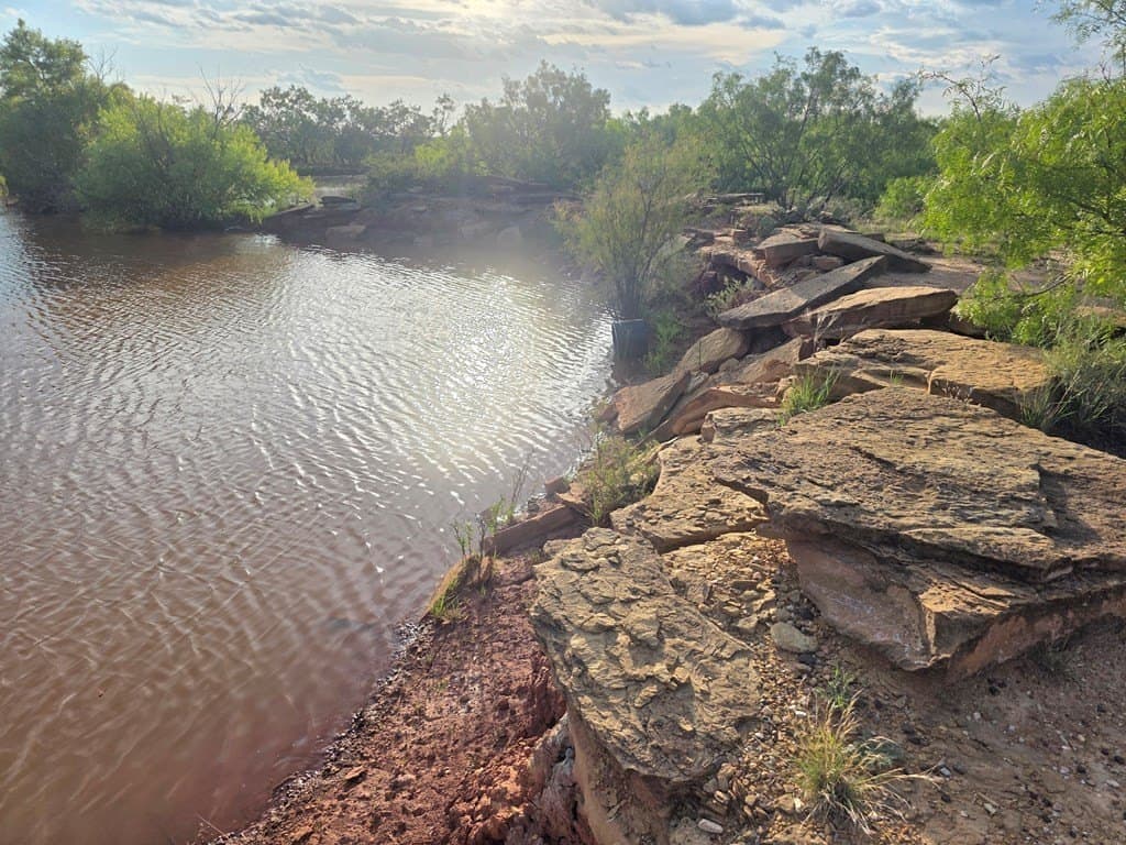 109 acres in Nolan County - photo 8