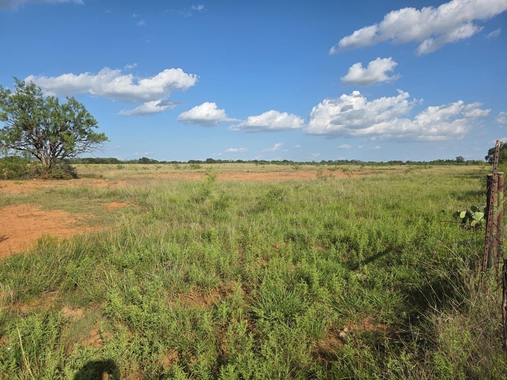 109 acres in Nolan County - photo 52
