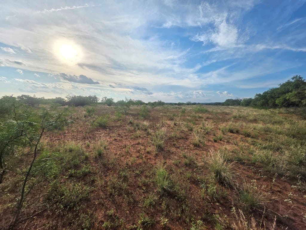 109 acres in Nolan County - photo 21