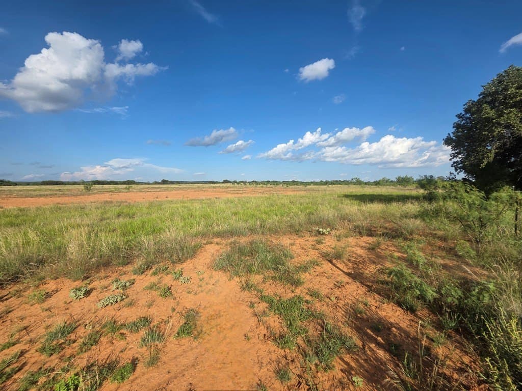 109 acres in Nolan County - photo 43