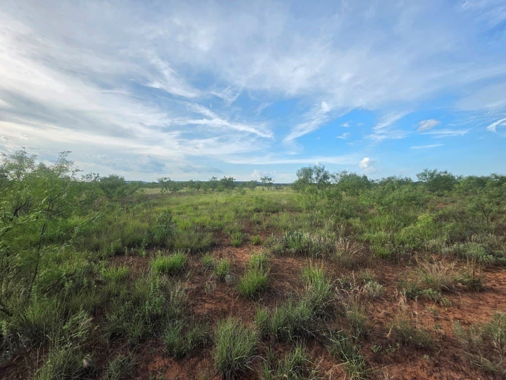 109 acres in Nolan County - photo 27