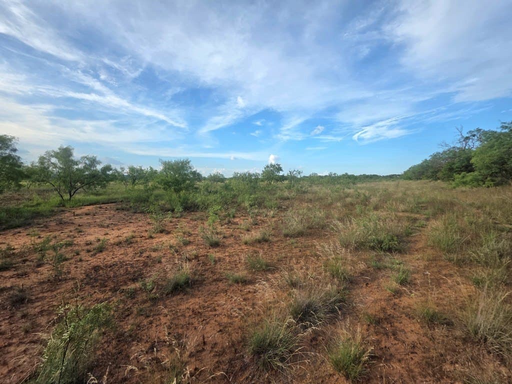 109 acres in Nolan County - photo 25