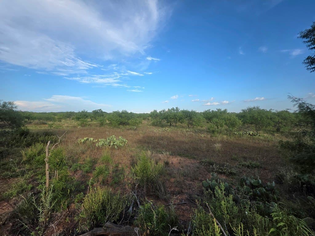 109 acres in Nolan County - photo 24