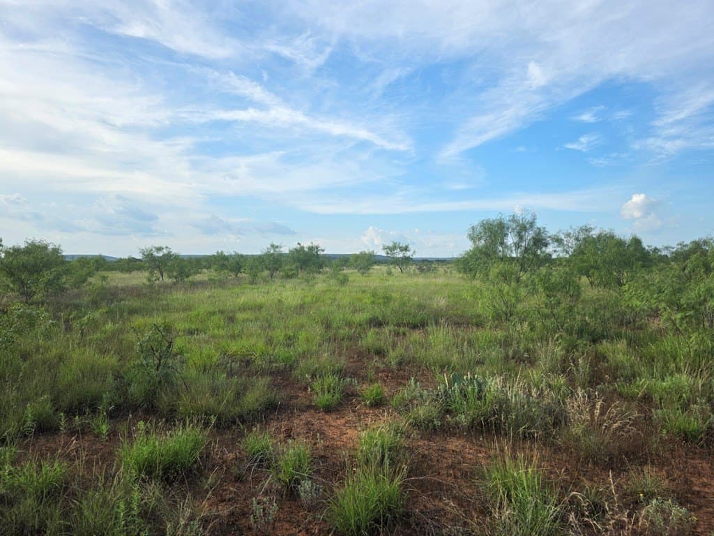 109 acres in Nolan County - photo 26