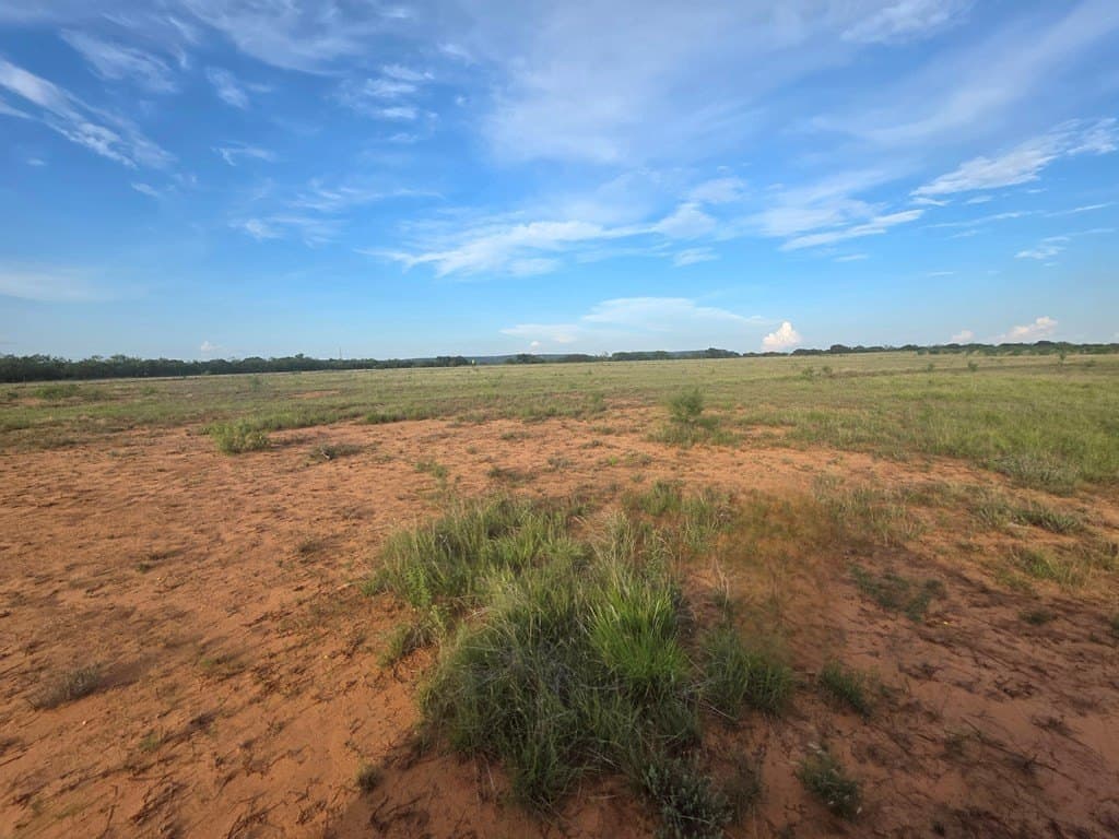 109 acres in Nolan County - photo 12