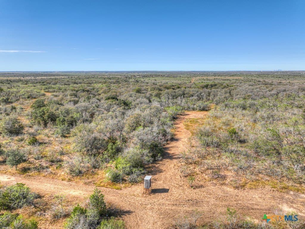 219.15 acres in Bastrop County - photo 8