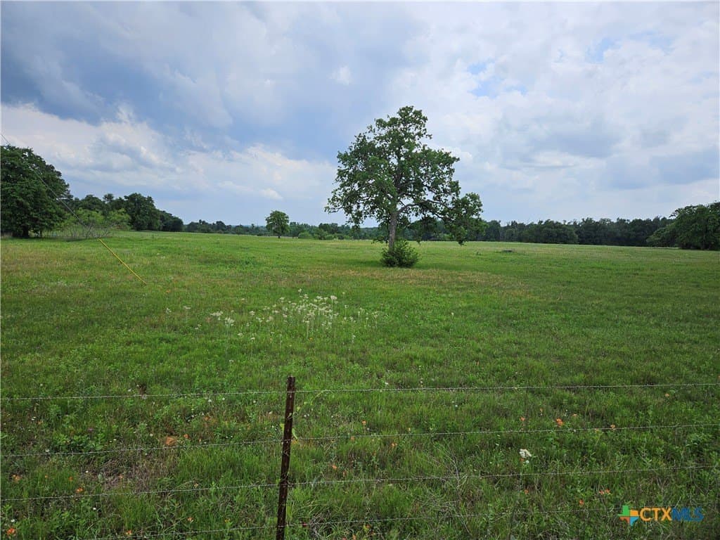 43 acres in Milam County - photo 5