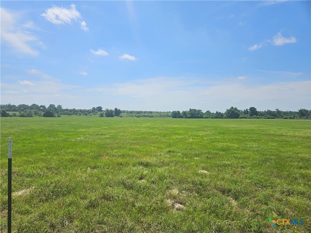 43 acres in Milam County - photo 2
