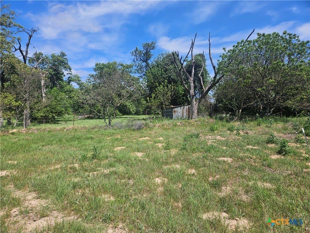 43 acres in Milam County - photo 3