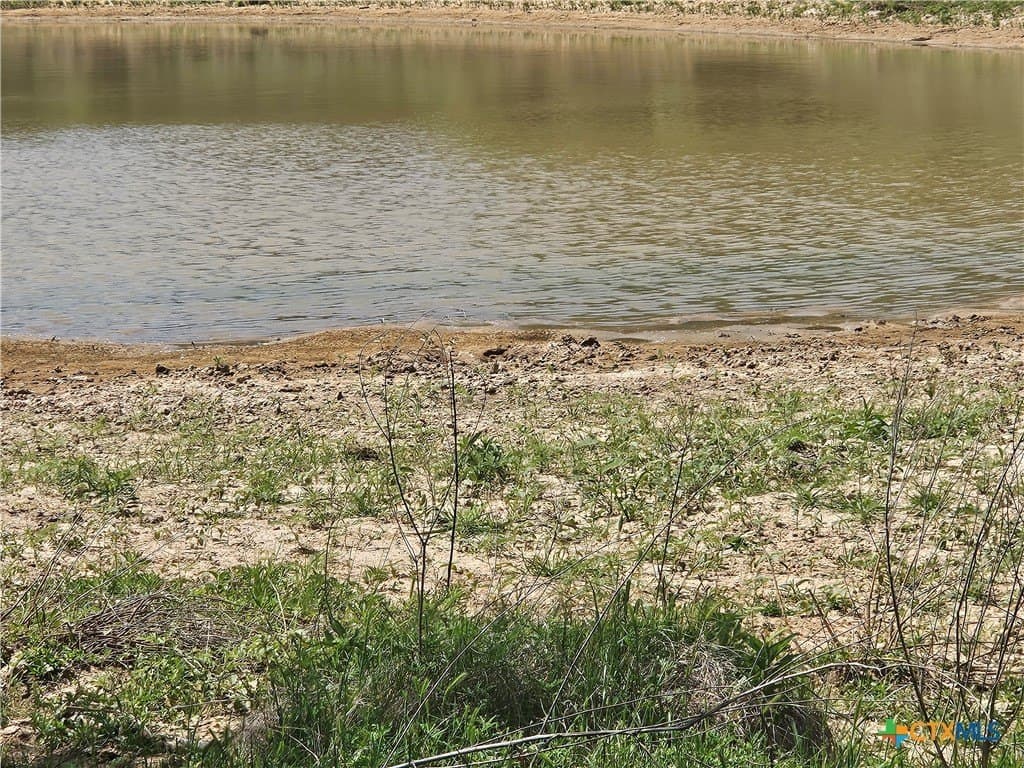 43 acres in Milam County - photo 4