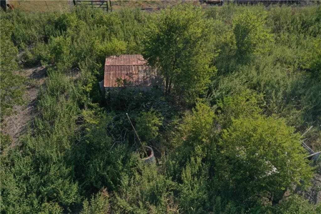 35.51 acres in Bell County - photo 10