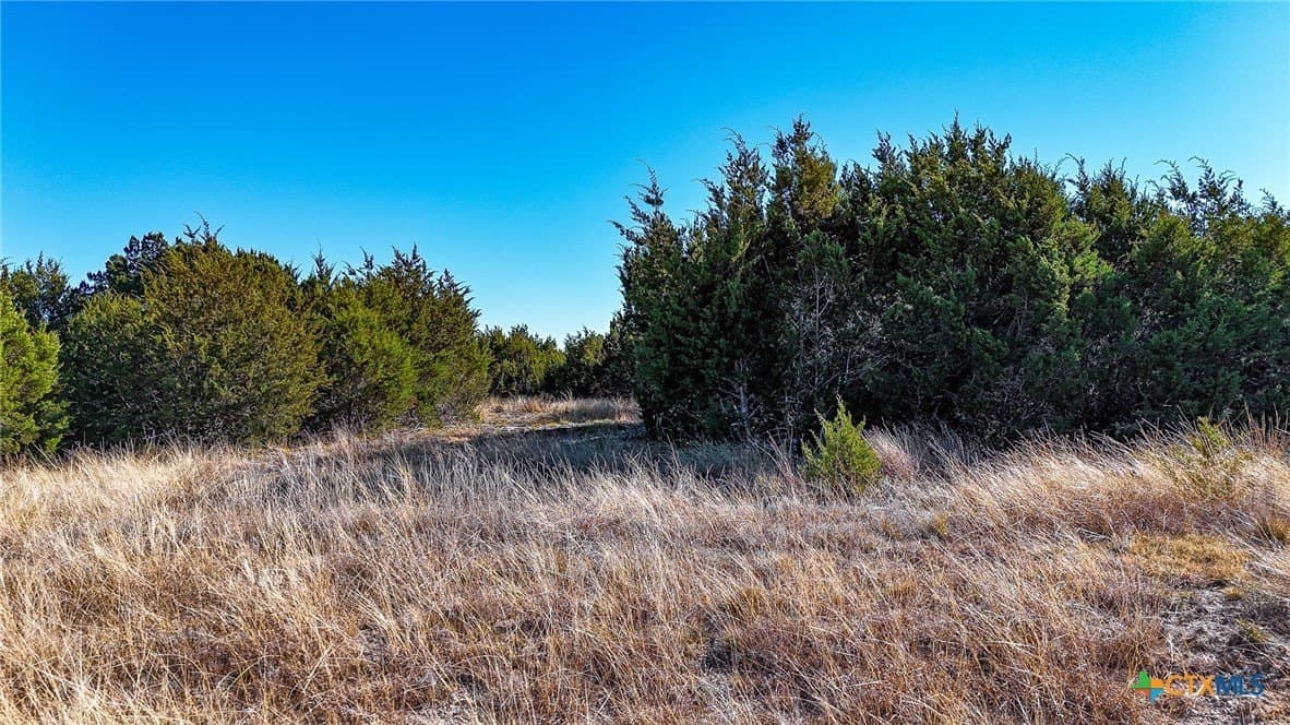 Homestead Drive lot: 19