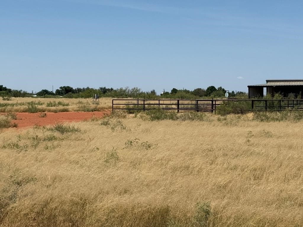 2 acres in Andrews County - photo 4