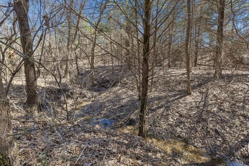 12.64 acres in Collin County - photo 12