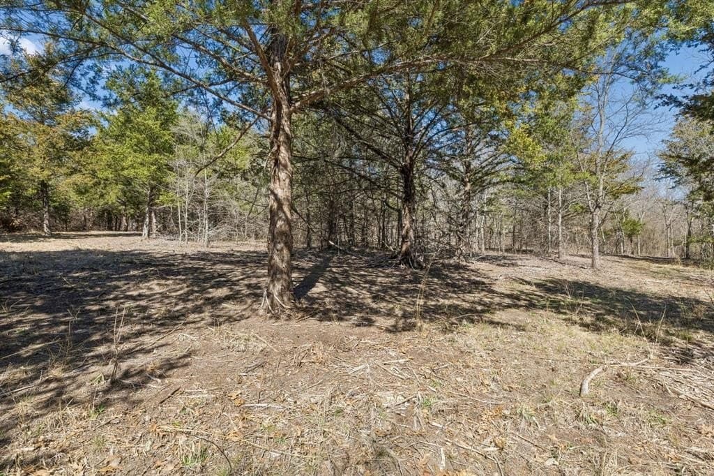 12.64 acres in Collin County - photo 11