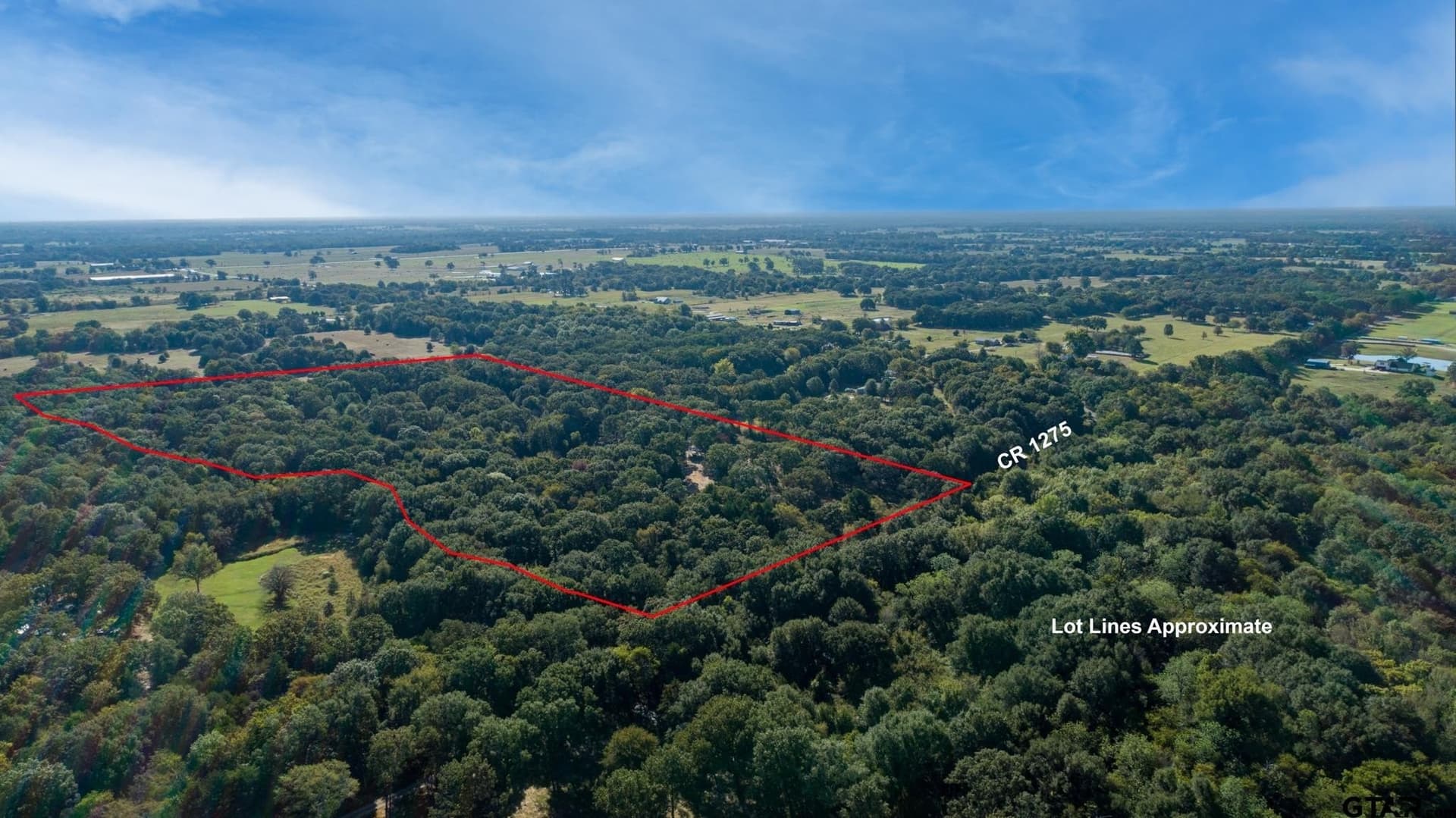 19.14 acres in Rains County - photo 3