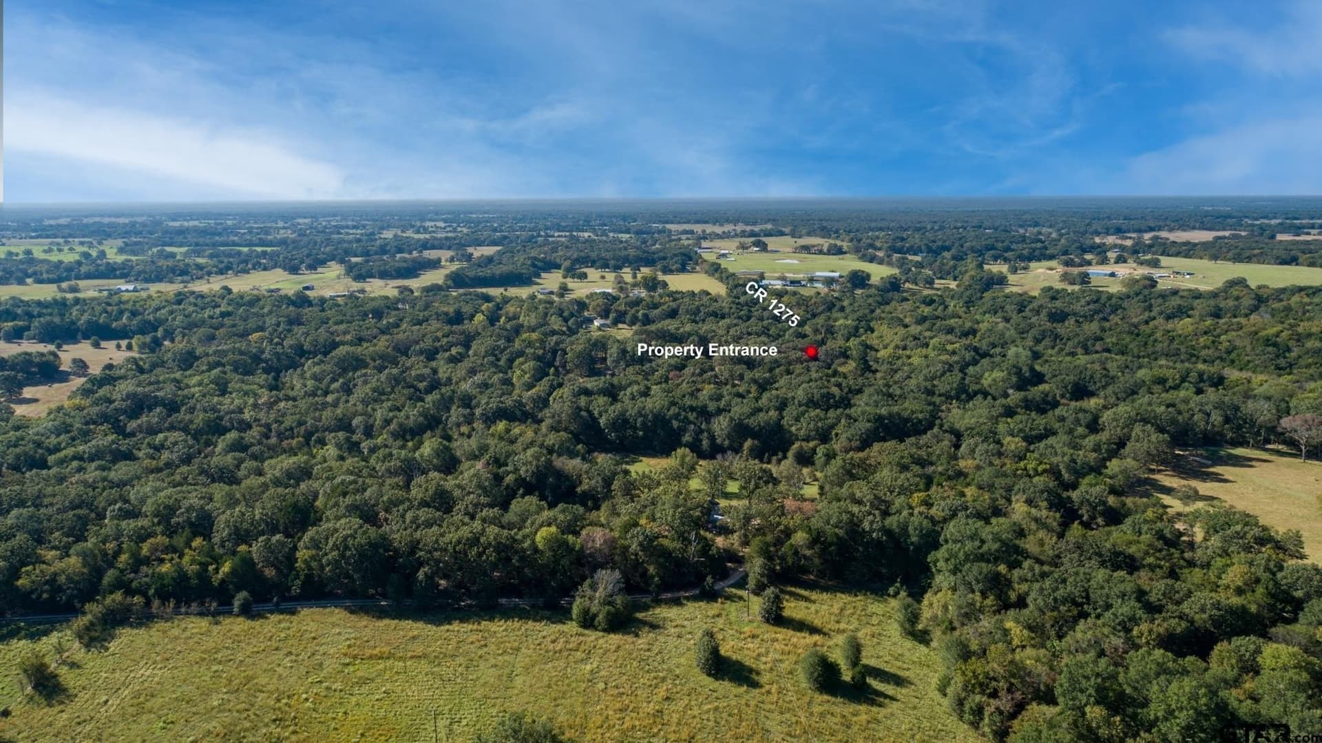 19.14 acres in Rains County - photo 9