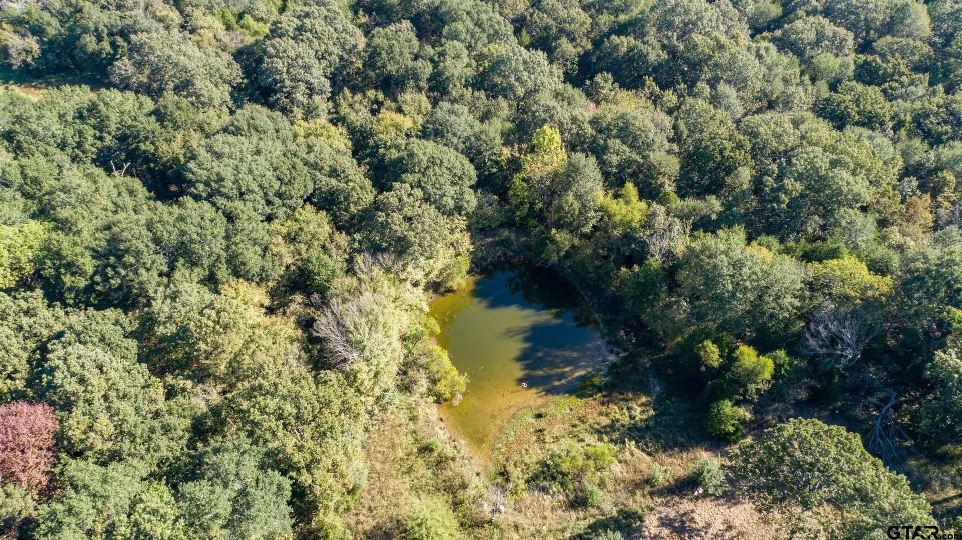 19.14 acres in Rains County - photo 10