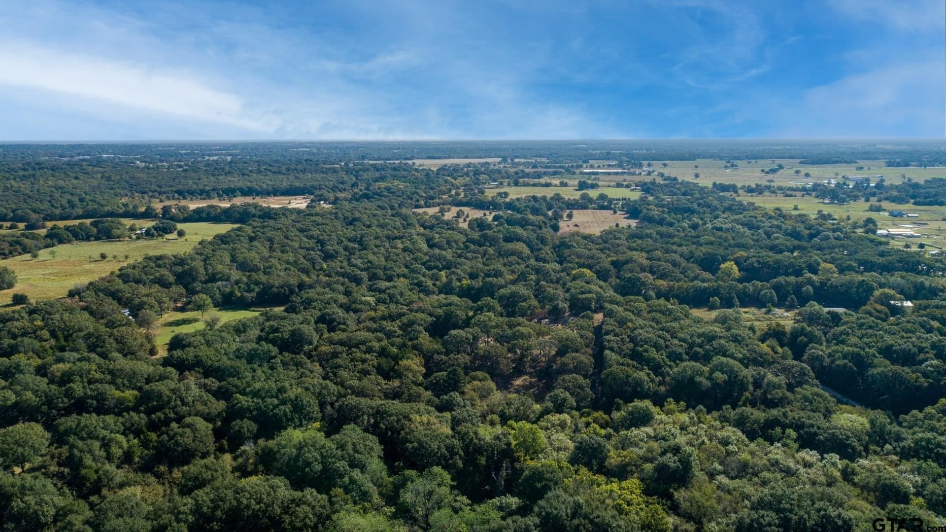 19.14 acres in Rains County - photo 4