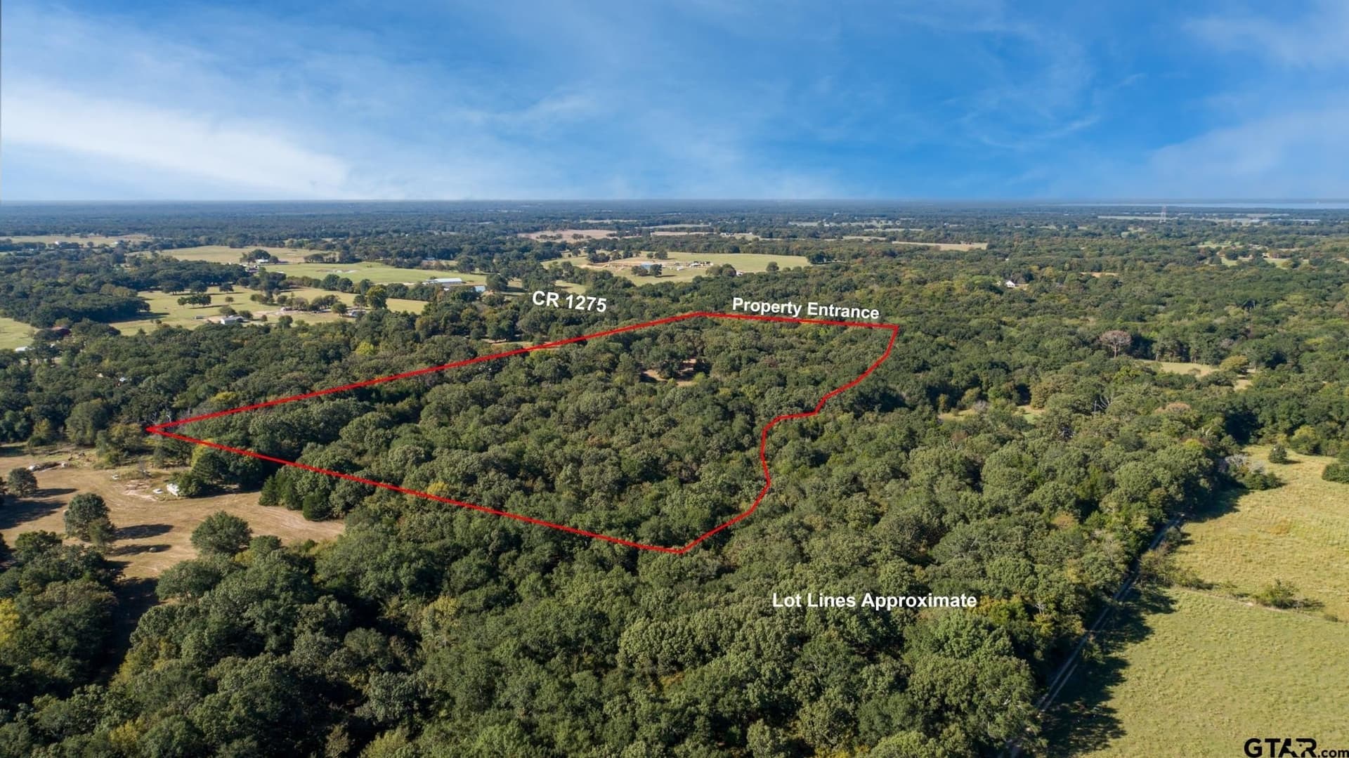 19.14 acres in Rains County - photo 8