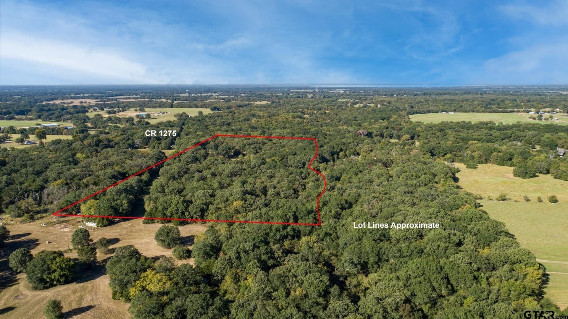 19.14 acres in Rains County - photo 7