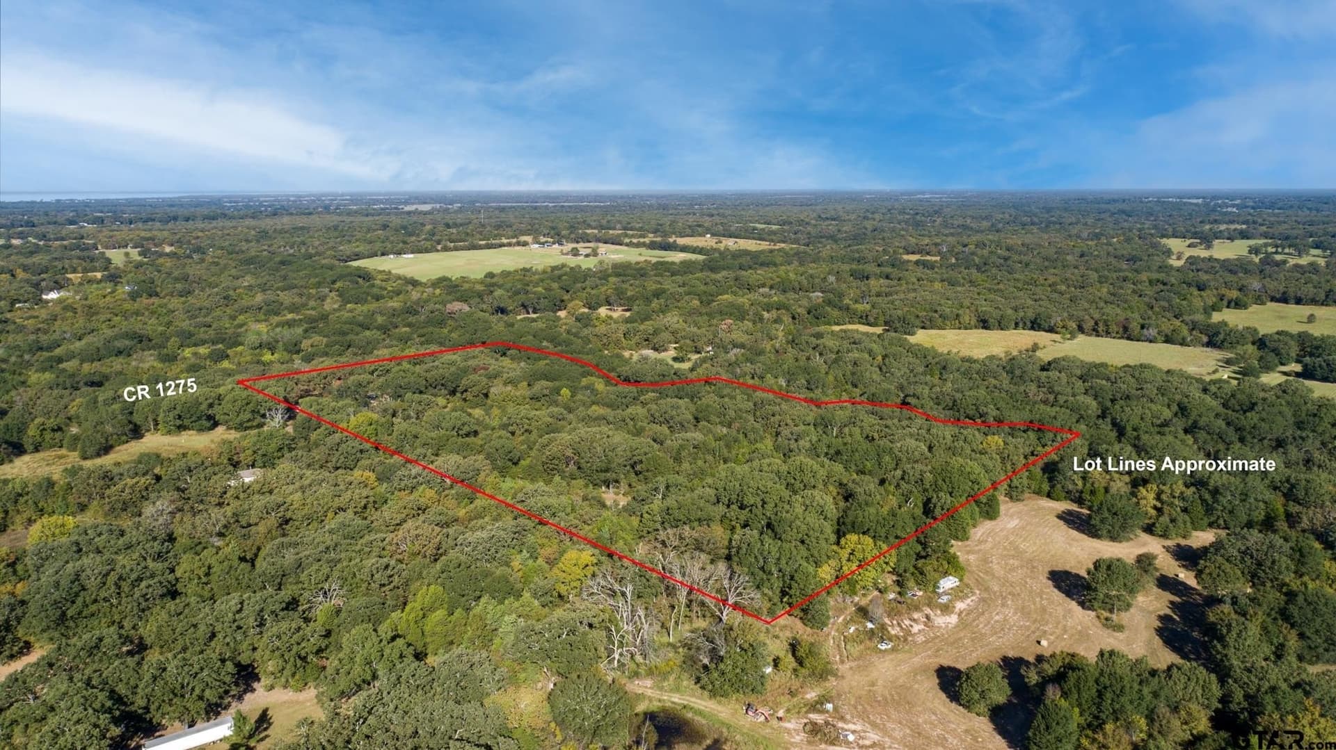 19.14 acres in Rains County - photo 5