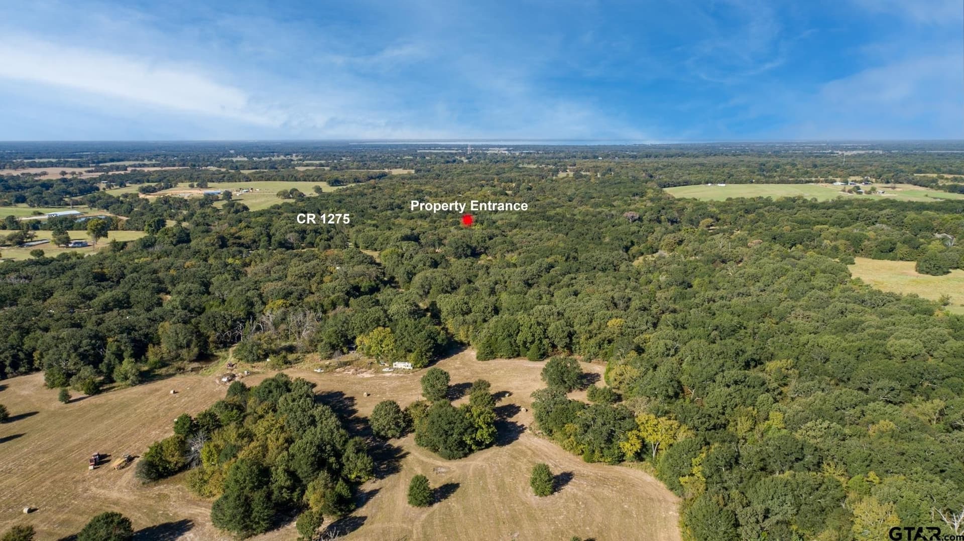 19.14 acres in Rains County - photo 6