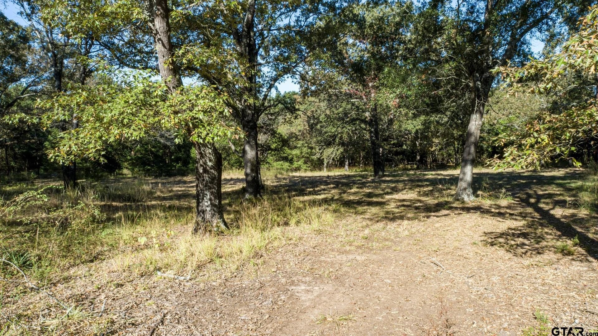 19.14 acres in Rains County - photo 11
