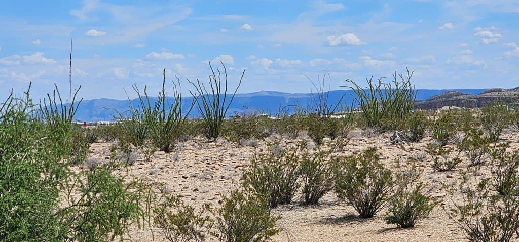 35 acres in Brewster County - photo 9