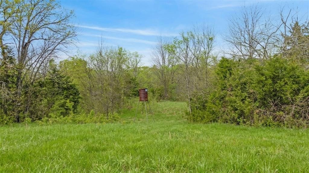 30 acres in Delta County - photo 22