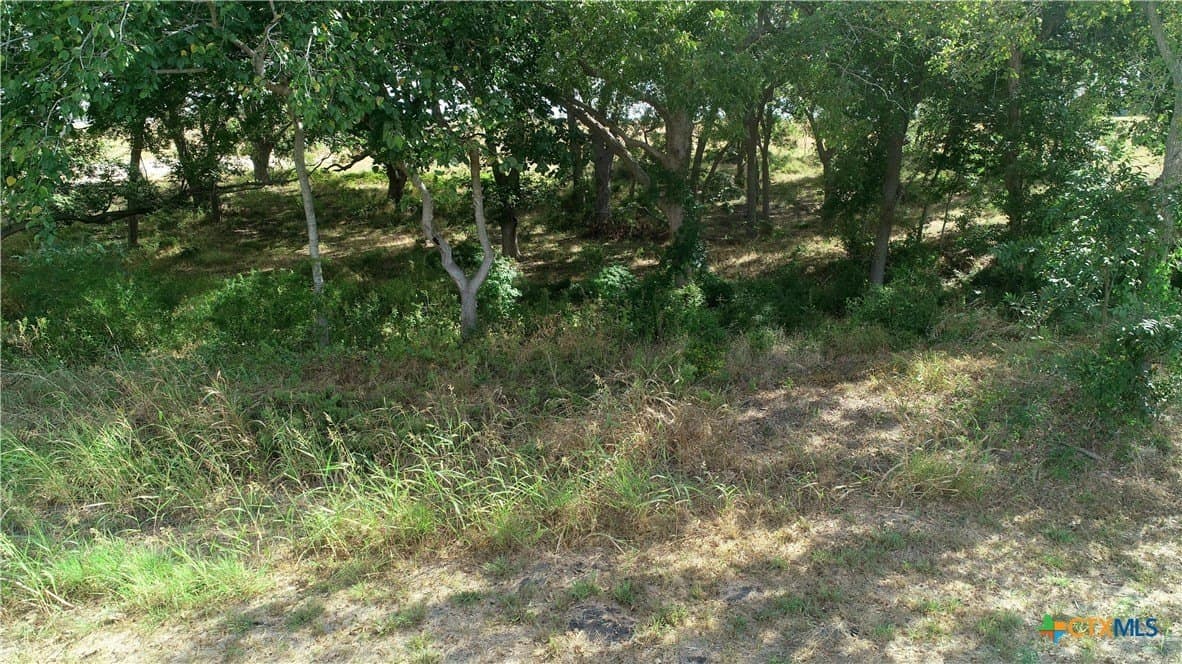 2.07 acres in Lavaca County - photo 5