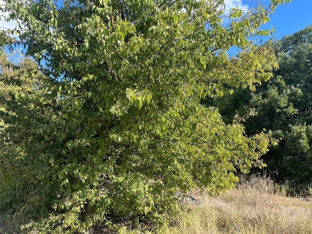 3.43 acres in Hunt County - photo 4